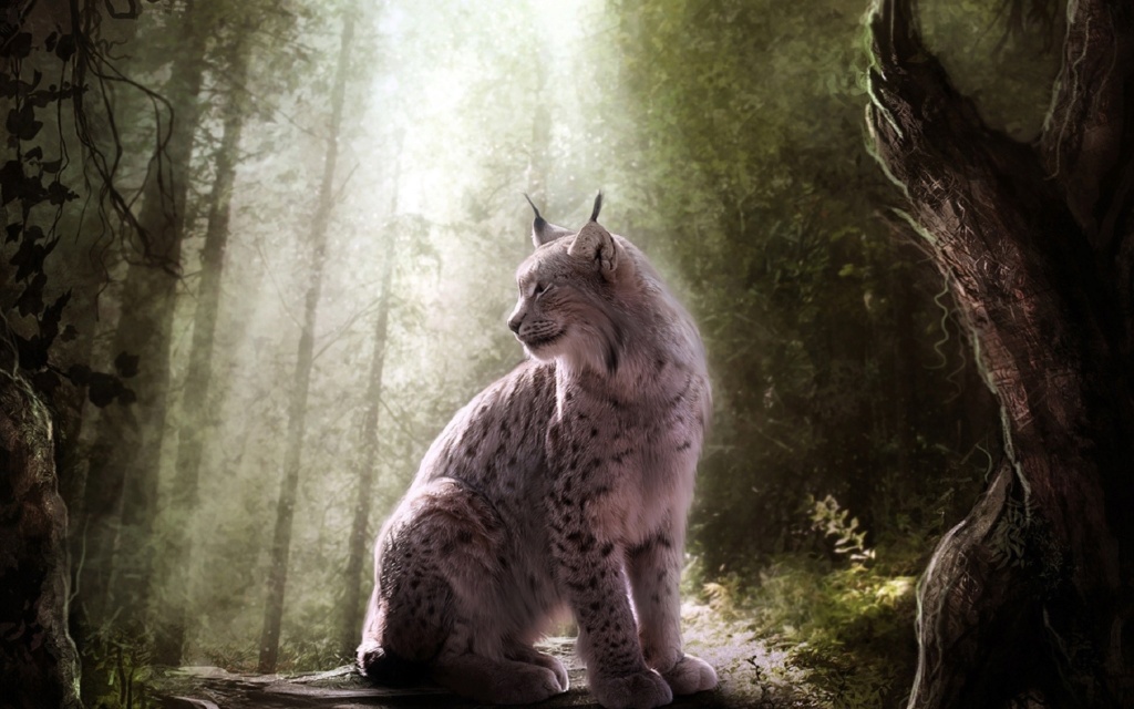 Chronologie de l'aventure Lynx10