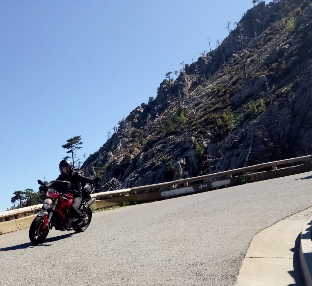LA CORSICA 2019 Img_2035