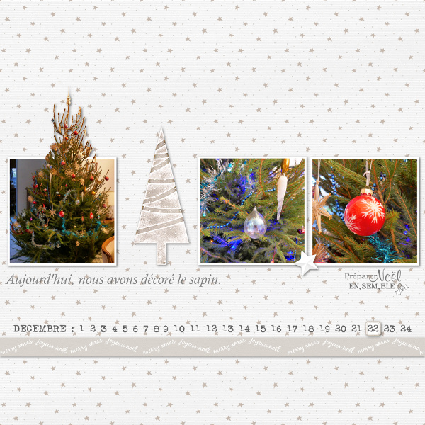 Pages réalisées avec le Noël blanc de DCS 2018_111