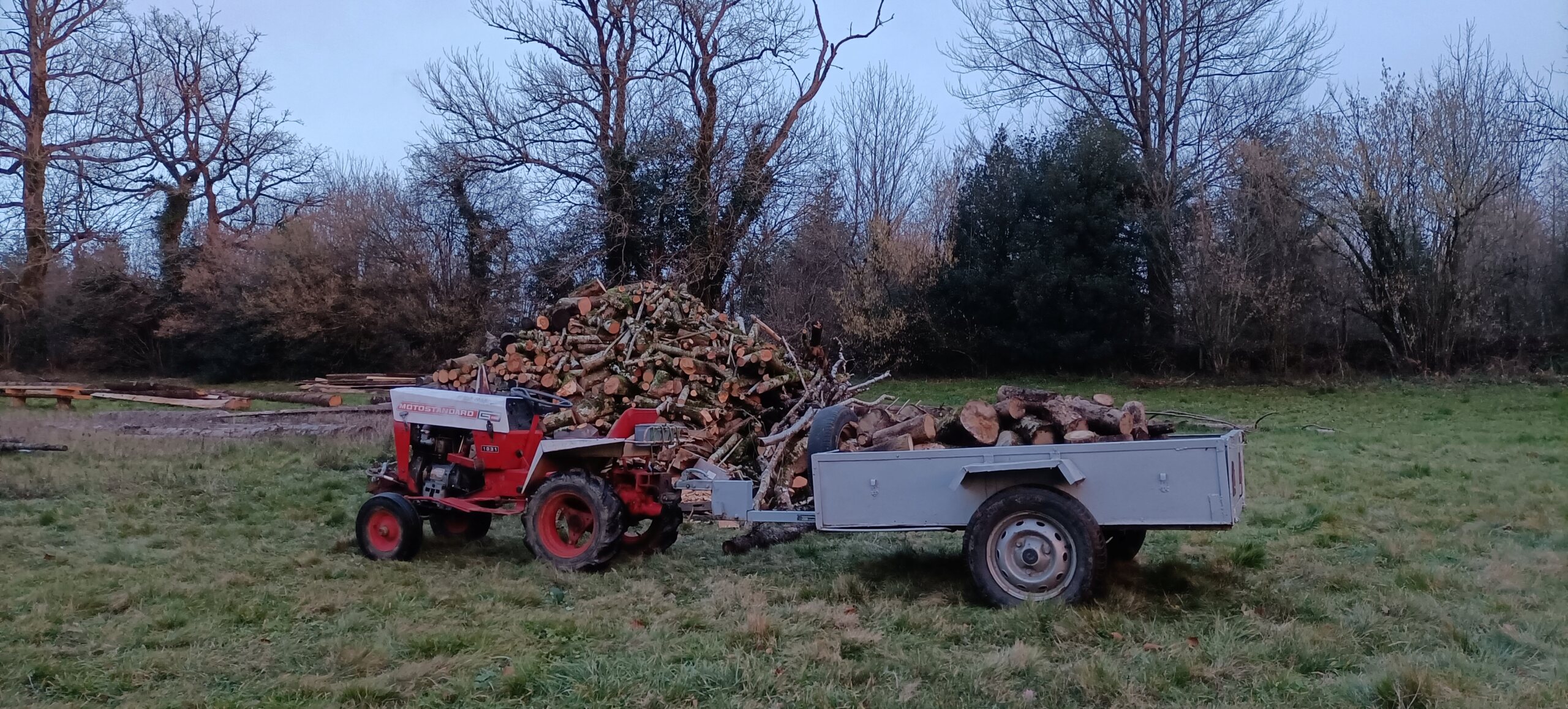 un moteur T 110 bien malade - Nanar, le p'tit 1031 à moteur Bernard. Img20211