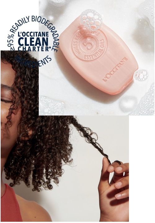 Novità Shampoo Solidi L'Occitane S-tsxz10