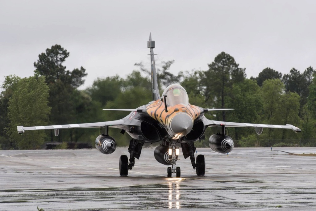 NatoTigers 2019 à la BA 118 de Mont de Marsan D5y9nx12