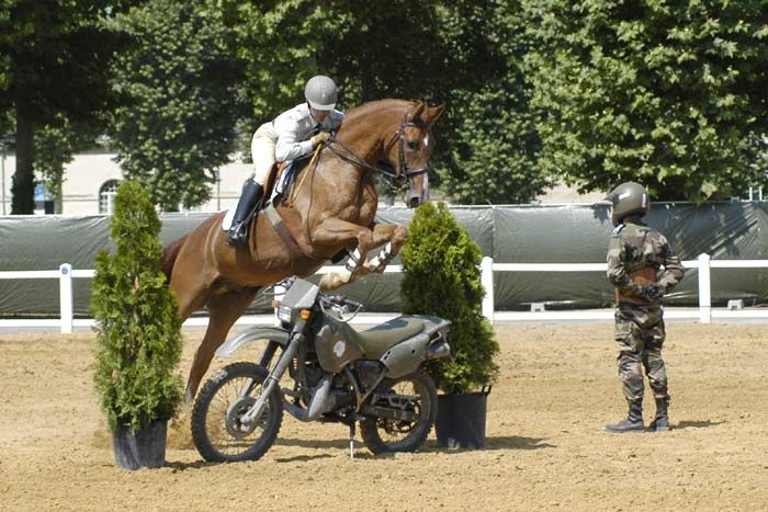 Carrousel de Saumur 19 et 20 juillet 2019 D91dop10