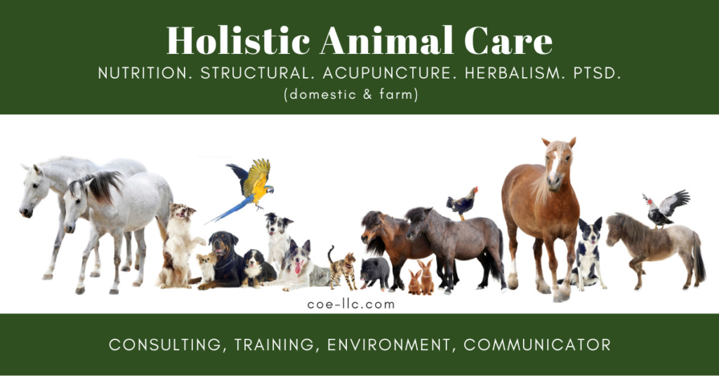 Working with Animals BRIDGENIT  Holist10
