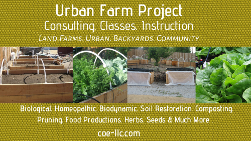 Reno: Holistic Animal Healthcare, Biodynamics, Nutrition, Herbalism: Urban Farm Project Small394