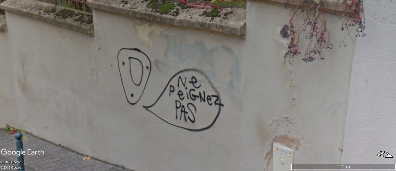 [street art-rue et manifs] Peinture fraîche, à Lyon 2019, 2020 ET 2021 - Page 10 A1165