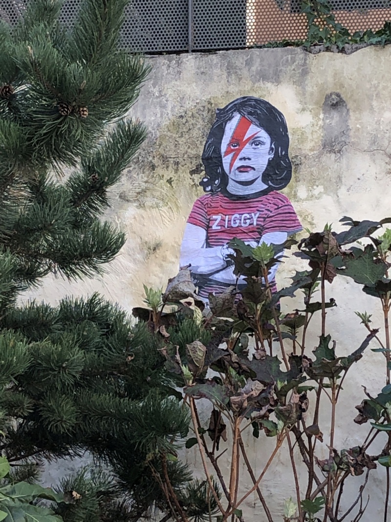 [street art-rue et manifs] Peinture fraîche, à Lyon 2019, 2020 ET 2021 - Page 18 A2295