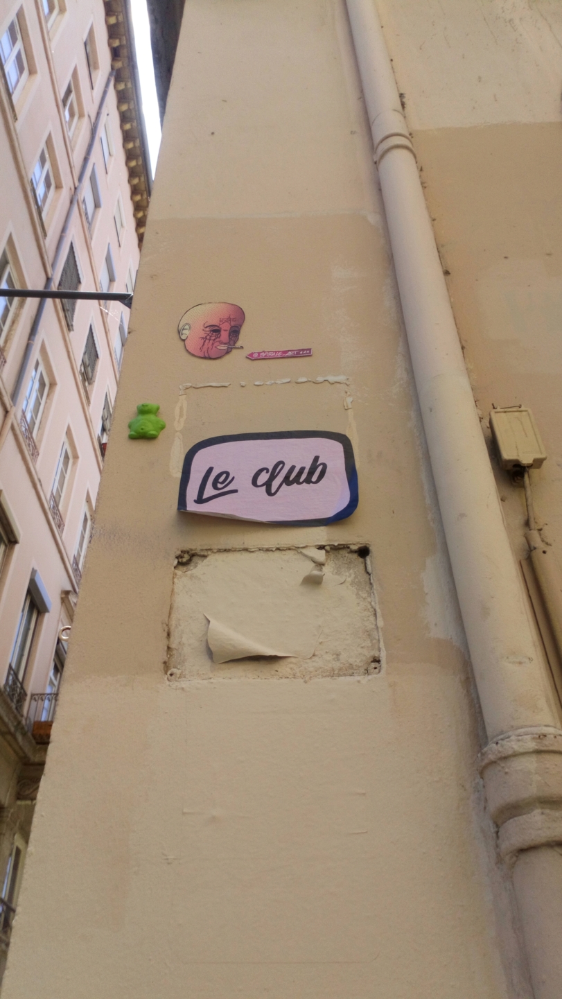 [street art-rue et manifs] Peinture fraîche, à Lyon 2019, 2020 ET 2021 - Page 8 Dsc_0727