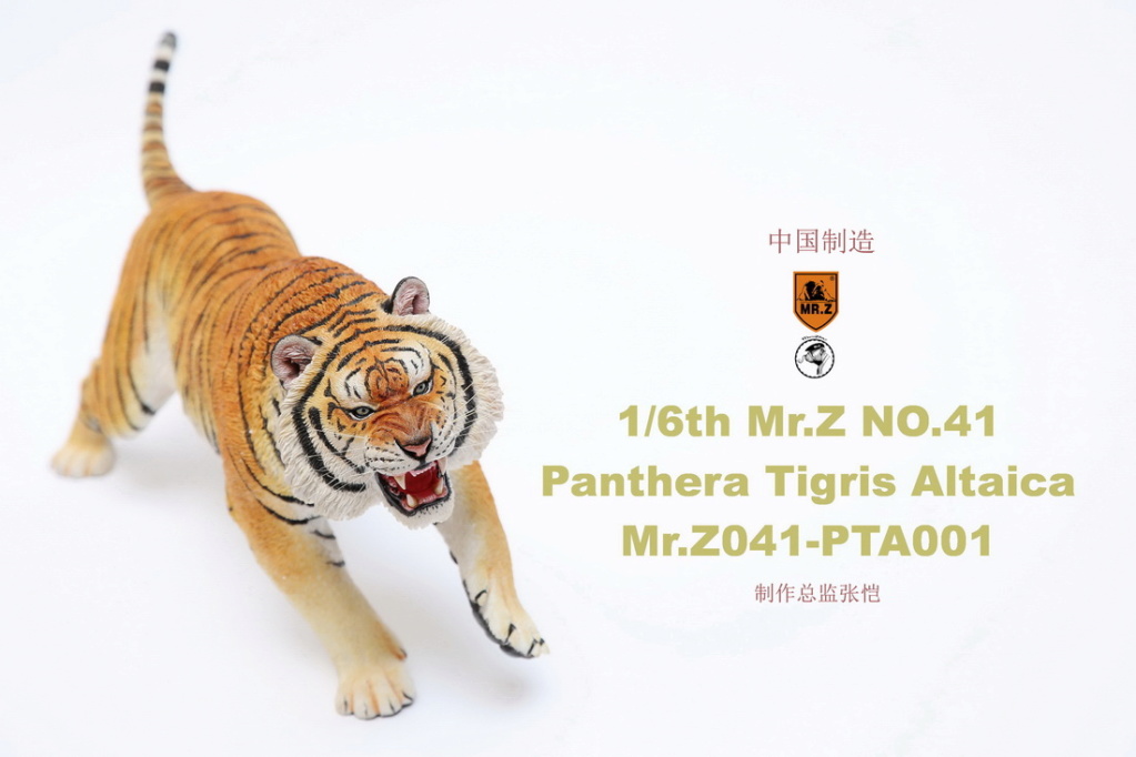 bigcat - NEW PRODUCT: MR. Z: 1/6 Simulation Animal Model 41st - Siberian Tiger / Siberian Tiger [Planting Edition] - Full set of 3 colors 00045110