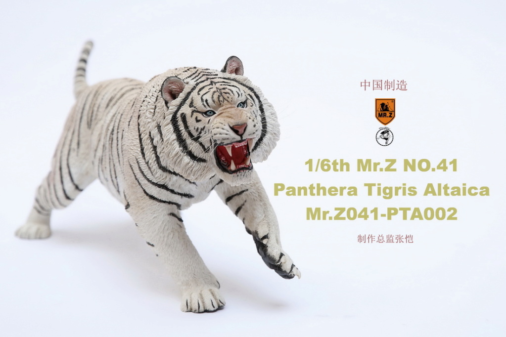 animal - NEW PRODUCT: MR. Z: 1/6 Simulation Animal Model 41st - Siberian Tiger / Siberian Tiger [Planting Edition] - Full set of 3 colors 00052211