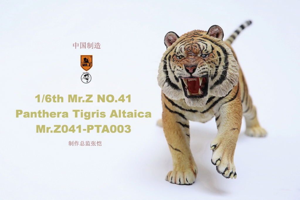 Mr - NEW PRODUCT: MR. Z: 1/6 Simulation Animal Model 41st - Siberian Tiger / Siberian Tiger [Planting Edition] - Full set of 3 colors 00064010