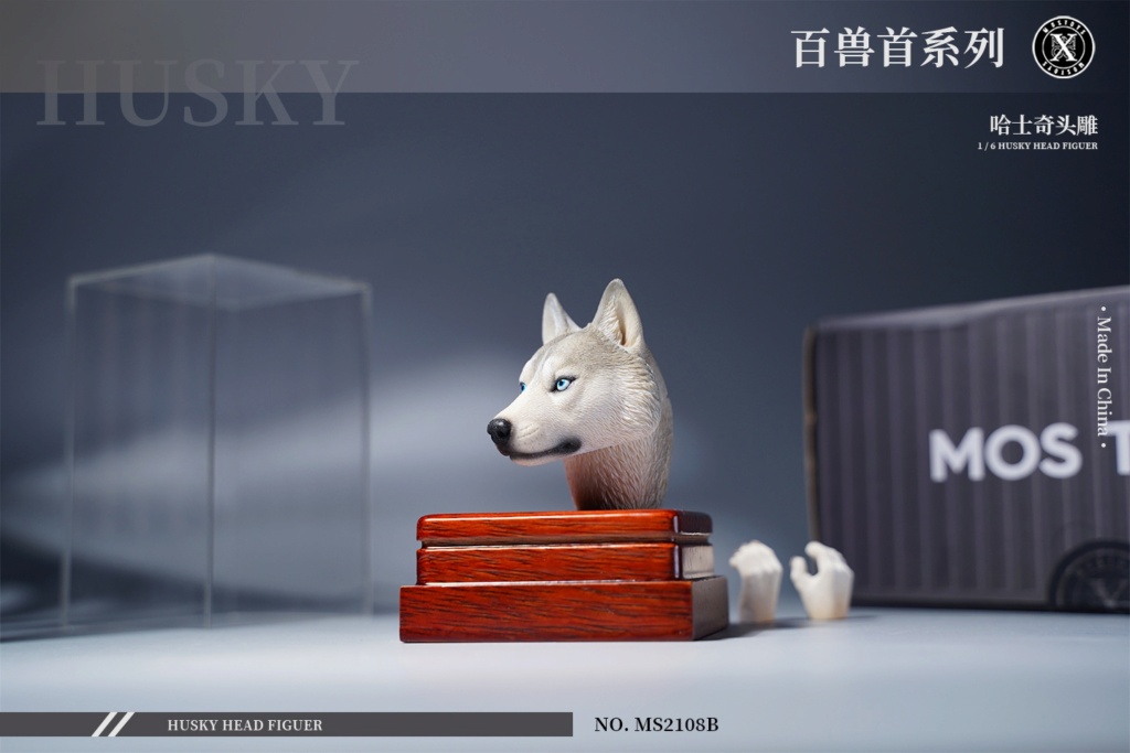 Accessory - NEW PRODUCT: Mostoys: Beast Head Sculpture Series 8: 1/6 Husky 00172210