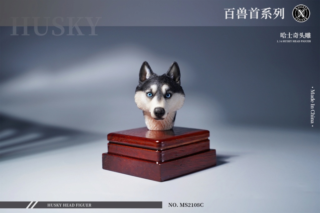 accessory - NEW PRODUCT: Mostoys: Beast Head Sculpture Series 8: 1/6 Husky 00172410