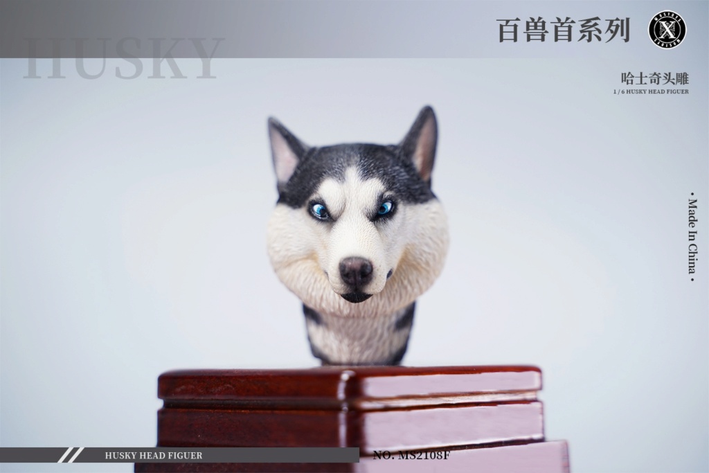 accessory - NEW PRODUCT: Mostoys: Beast Head Sculpture Series 8: 1/6 Husky 00172810