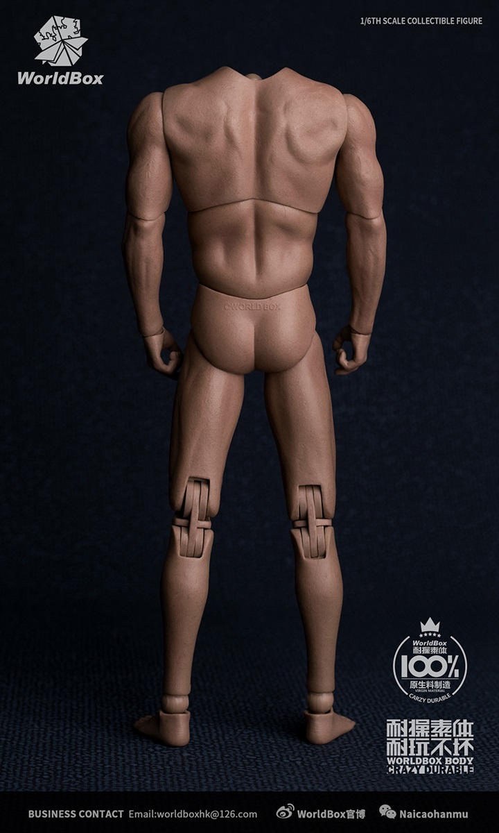 male - NEW PRODUCT: WORLDBOX: 1/6 resistance to the body - no neck wide shoulder version AT017 (for the US team, etc.) 00192910