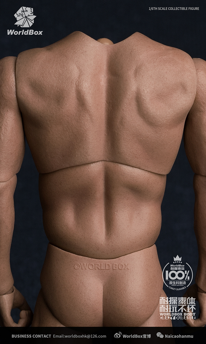 male - NEW PRODUCT: WORLDBOX: 1/6 resistance to the body - no neck wide shoulder version AT017 (for the US team, etc.) 00193310