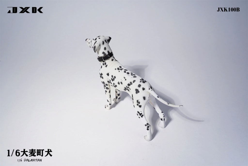 Dalmation - NEW PRODUCT: JXK Studio: 1/6 Pomeranian, Dalmatian, Shar Pei Animal Model [multi-color optional] (#JXK099, JXK100, JXK101) 00e47f10