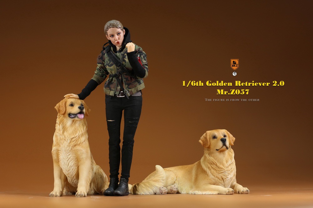 Mr - NEW PRODUCT: MR. Z: 1/6 The 57th round-Golden Retriever 2.0 version 08540610