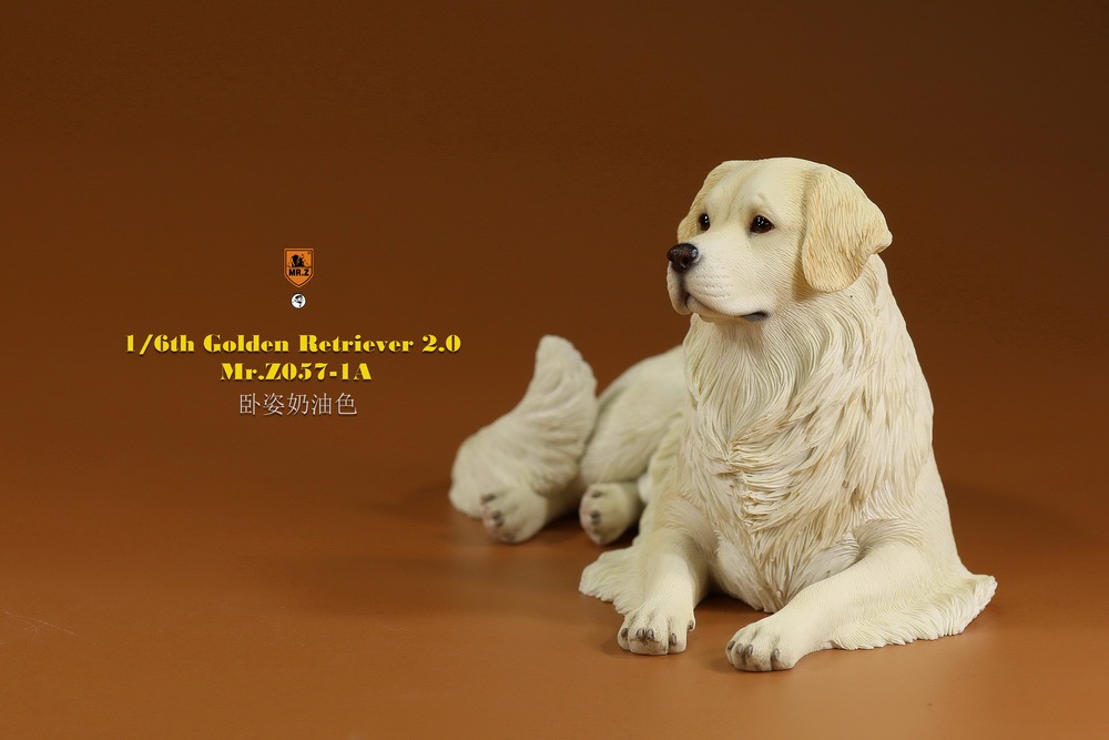 Mr - NEW PRODUCT: MR. Z: 1/6 The 57th round-Golden Retriever 2.0 version 08540910