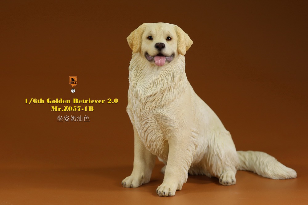 Mr - NEW PRODUCT: MR. Z: 1/6 The 57th round-Golden Retriever 2.0 version 08540911