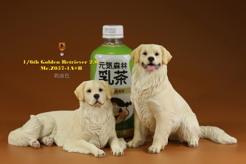 Mr - NEW PRODUCT: MR. Z: 1/6 The 57th round-Golden Retriever 2.0 version 08541012
