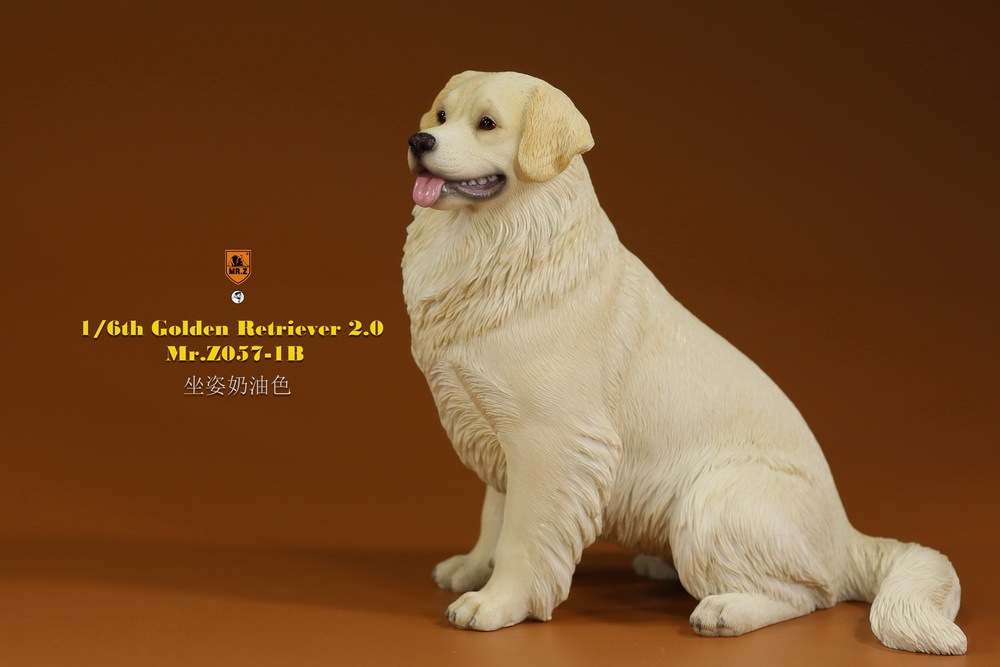 Mr - NEW PRODUCT: MR. Z: 1/6 The 57th round-Golden Retriever 2.0 version 08541013