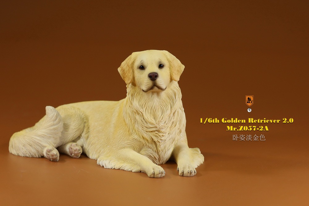 Mr - NEW PRODUCT: MR. Z: 1/6 The 57th round-Golden Retriever 2.0 version 08541111