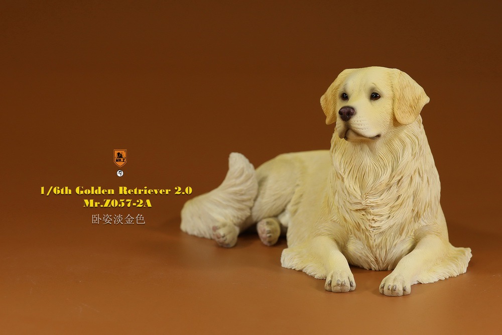 Mr - NEW PRODUCT: MR. Z: 1/6 The 57th round-Golden Retriever 2.0 version 08541112