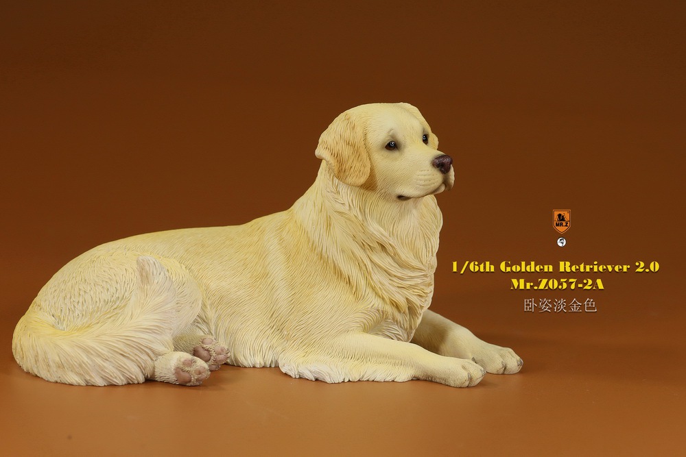 Mr - NEW PRODUCT: MR. Z: 1/6 The 57th round-Golden Retriever 2.0 version 08541113