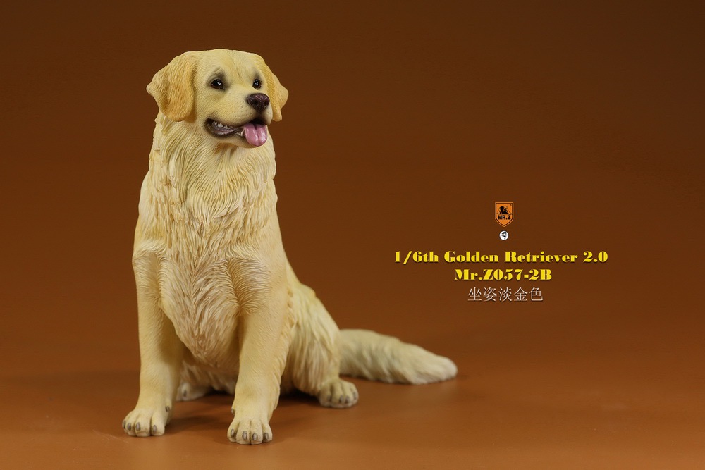 Mr - NEW PRODUCT: MR. Z: 1/6 The 57th round-Golden Retriever 2.0 version 08541210