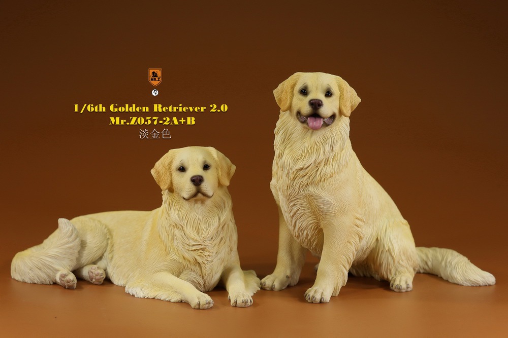 Mr - NEW PRODUCT: MR. Z: 1/6 The 57th round-Golden Retriever 2.0 version 08541211