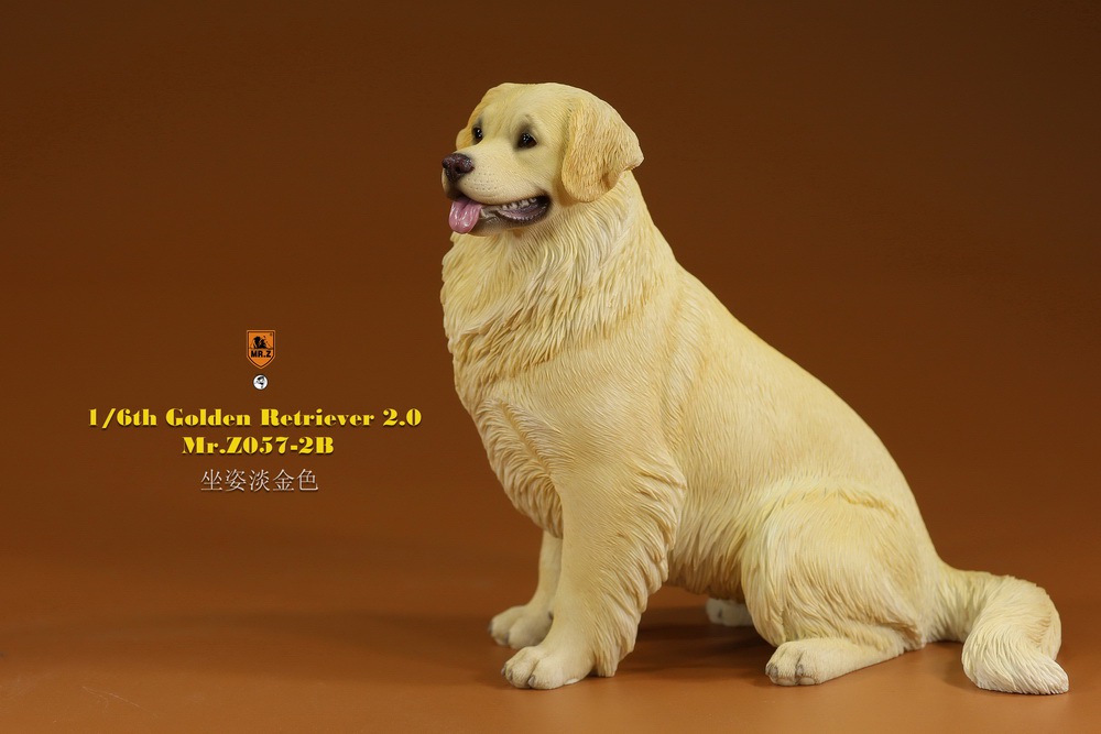 Mr - NEW PRODUCT: MR. Z: 1/6 The 57th round-Golden Retriever 2.0 version 08541212