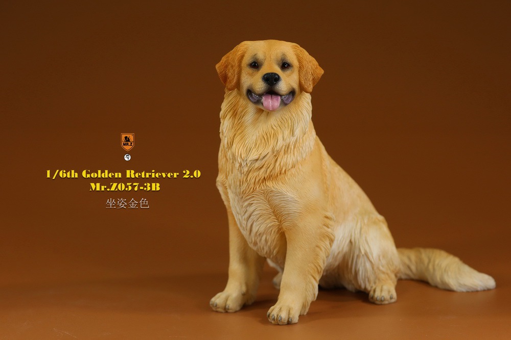 Topics tagged under goldenretriever2 on OneSixthFigures 08541310