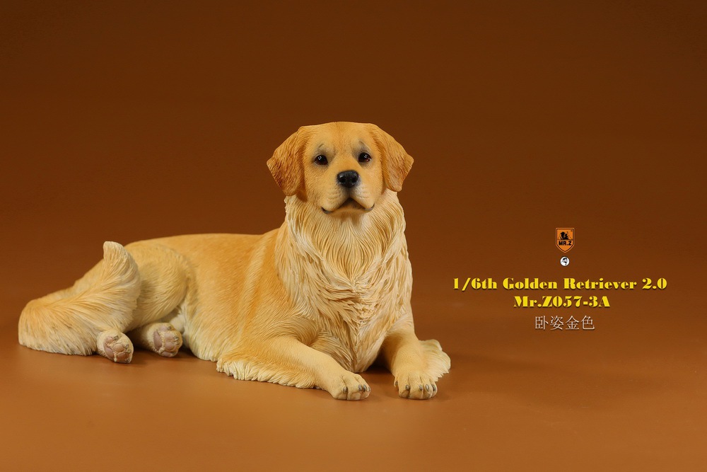 Mr - NEW PRODUCT: MR. Z: 1/6 The 57th round-Golden Retriever 2.0 version 08541311
