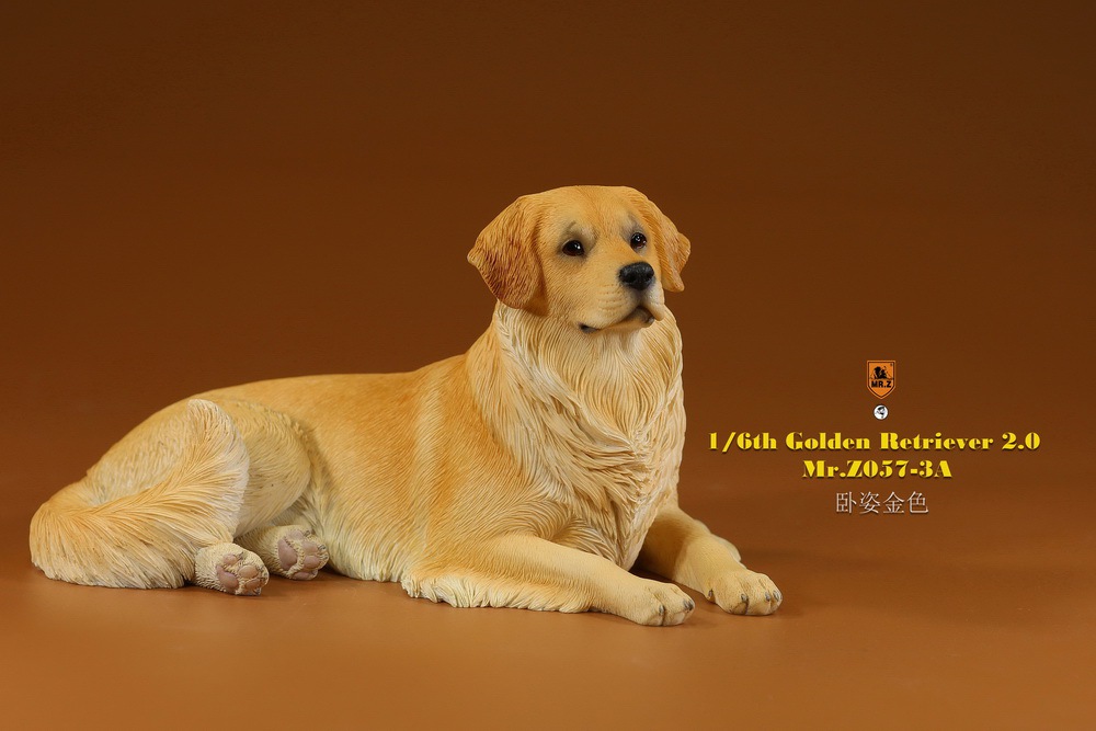 Mr - NEW PRODUCT: MR. Z: 1/6 The 57th round-Golden Retriever 2.0 version 08541312