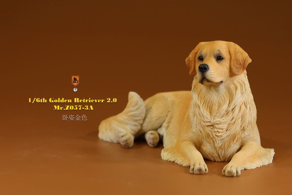 Mr - NEW PRODUCT: MR. Z: 1/6 The 57th round-Golden Retriever 2.0 version 08541313