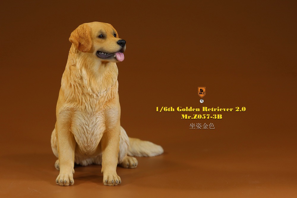 Mr - NEW PRODUCT: MR. Z: 1/6 The 57th round-Golden Retriever 2.0 version 08541410