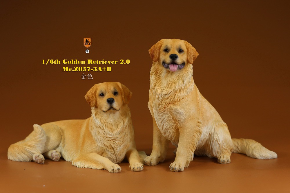 Mr - NEW PRODUCT: MR. Z: 1/6 The 57th round-Golden Retriever 2.0 version 08541411