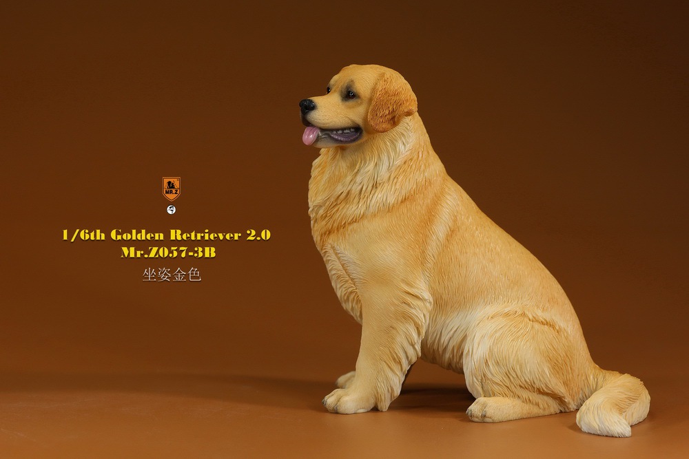 Mr - NEW PRODUCT: MR. Z: 1/6 The 57th round-Golden Retriever 2.0 version 08541412