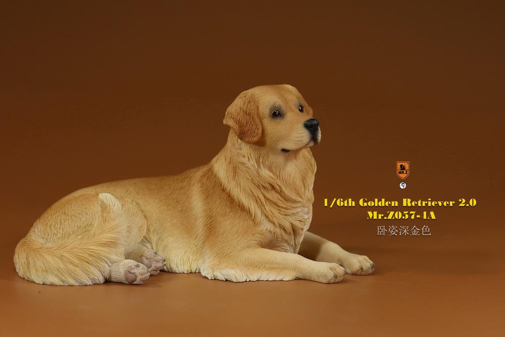 Mr - NEW PRODUCT: MR. Z: 1/6 The 57th round-Golden Retriever 2.0 version 08541810