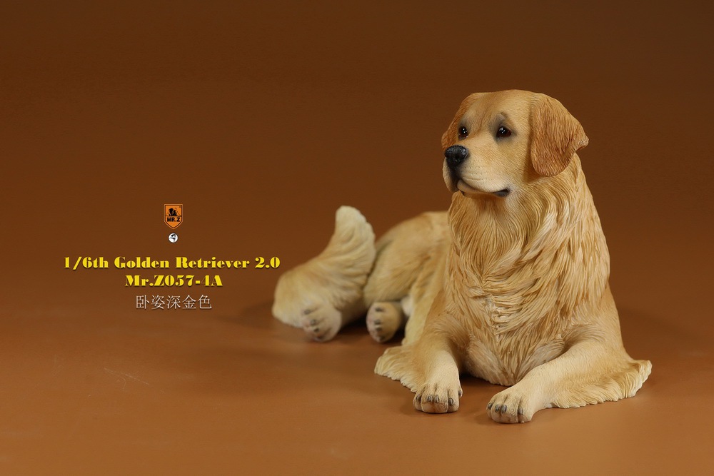 Mr - NEW PRODUCT: MR. Z: 1/6 The 57th round-Golden Retriever 2.0 version 08542010
