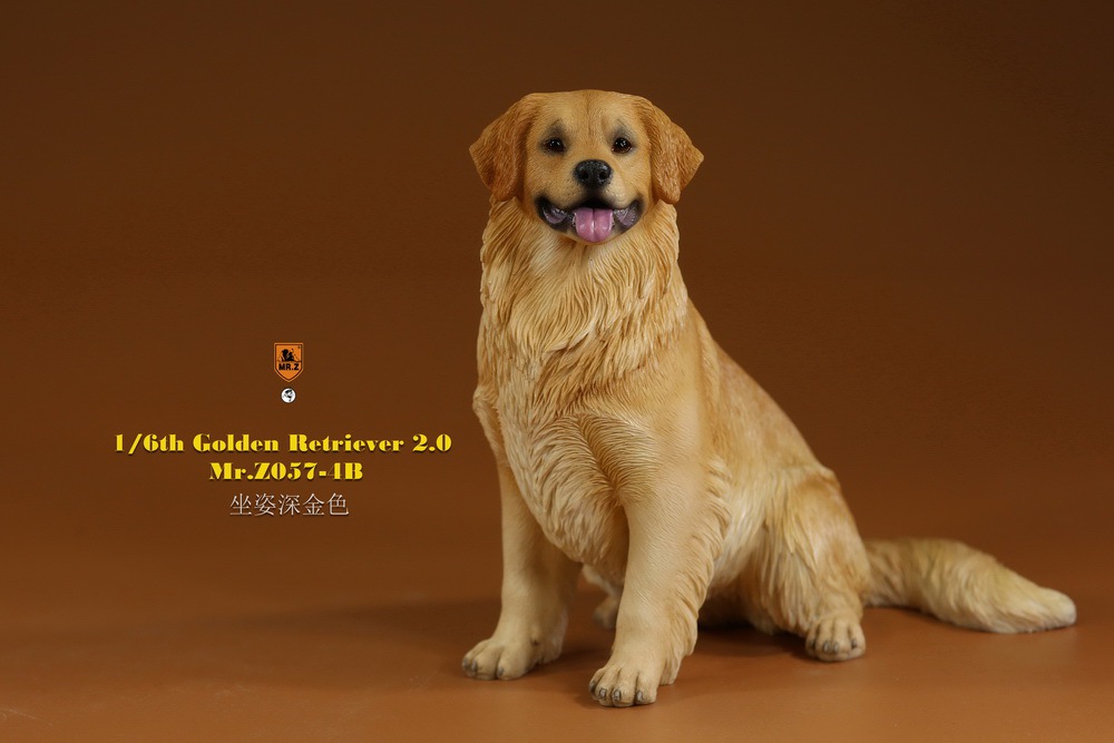 Mr - NEW PRODUCT: MR. Z: 1/6 The 57th round-Golden Retriever 2.0 version 08542210