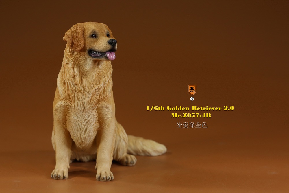 Mr - NEW PRODUCT: MR. Z: 1/6 The 57th round-Golden Retriever 2.0 version 08542410