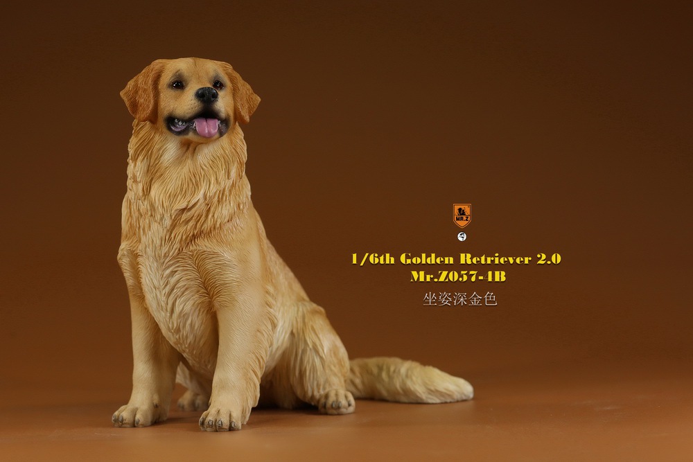 Topics tagged under goldenretriever2 on OneSixthFigures 08542610