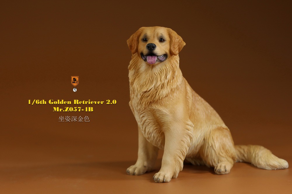 Mr - NEW PRODUCT: MR. Z: 1/6 The 57th round-Golden Retriever 2.0 version 08542810