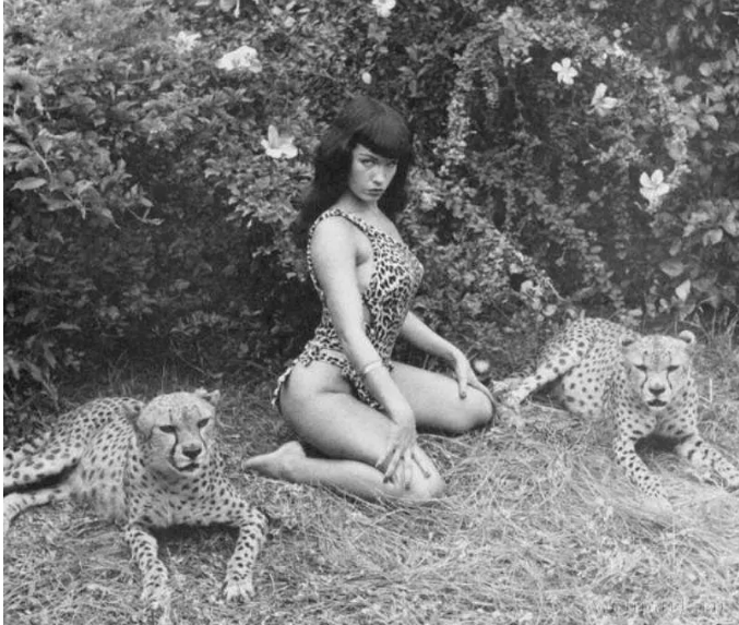 Topics tagged under bettiepage on OneSixthFigures 09484410