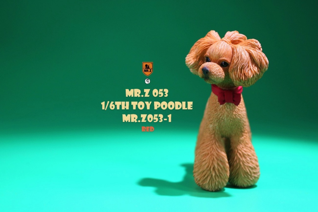 NEW PRODUCT: Mr. Z: 1/6 Simulation Animal Model No. 53-Toy Poodle (Teddy) Three-headed Carving Configuration 0be47910