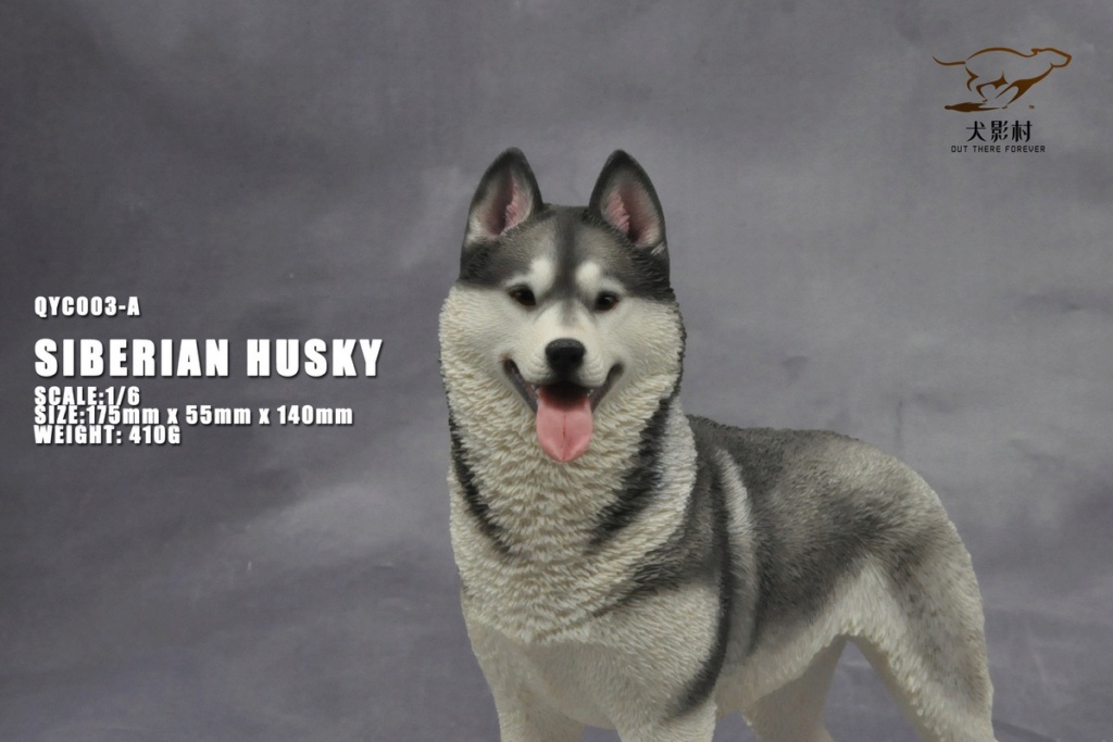 Topics tagged under husky on OneSixthFigures 10071210