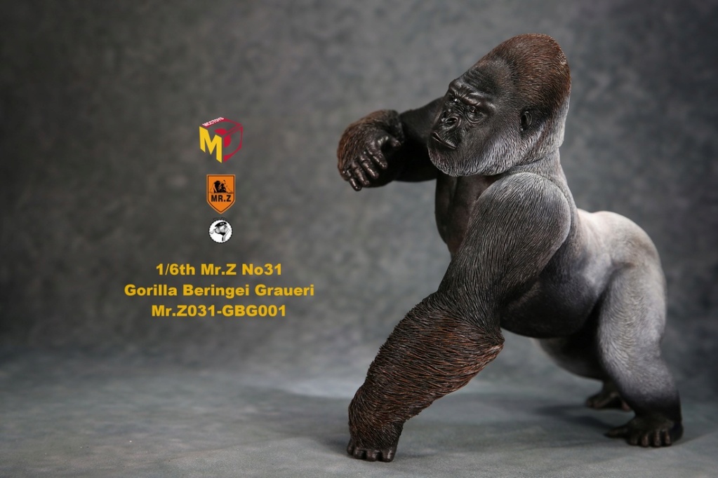 NEW PRODUCT: Mr.Z new product: 1/6 simulation animal model 31st bomb - African lowland gorilla (all 2 heads can be changed to upper limbs) 10102810