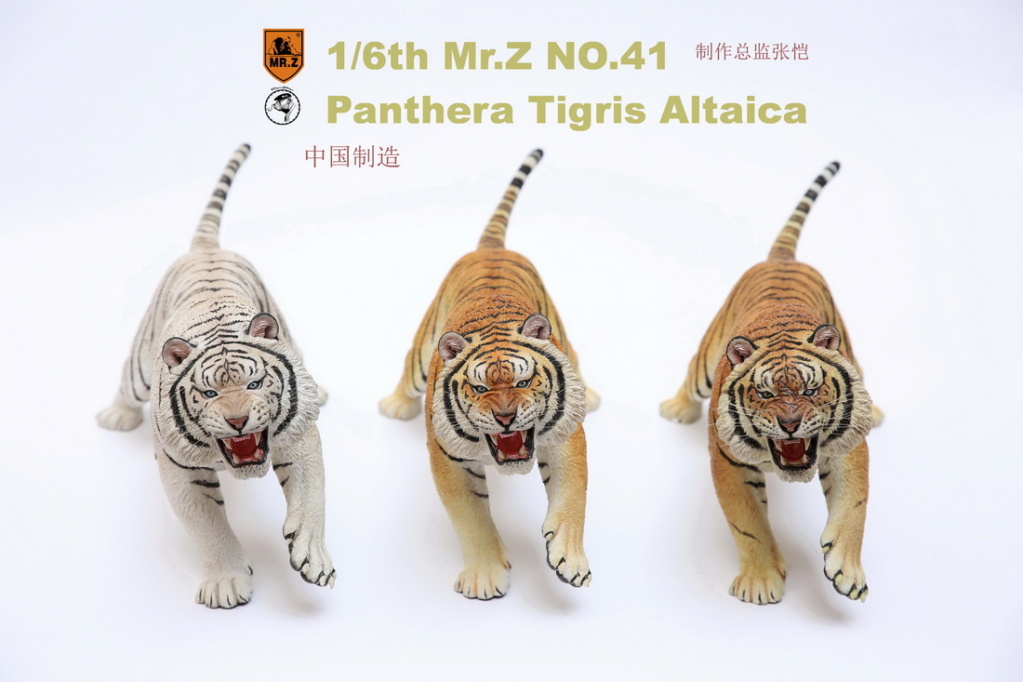 bigcat - NEW PRODUCT: MR. Z: 1/6 Simulation Animal Model 41st - Siberian Tiger / Siberian Tiger [Planting Edition] - Full set of 3 colors 11004